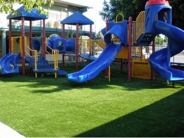 Artificial Grass Photos: Artificial Grass Huntington Park California  Kids Safe  Landscape